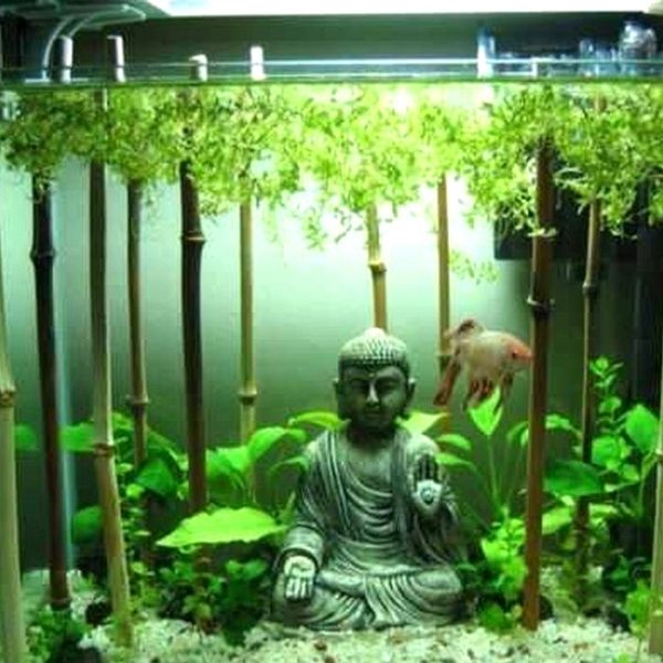 1598478312_30_Heres-How-to-Make-a-Great-Aquarium-Design