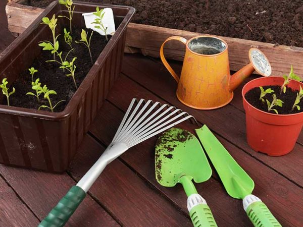 Gardening-Starter-Kit