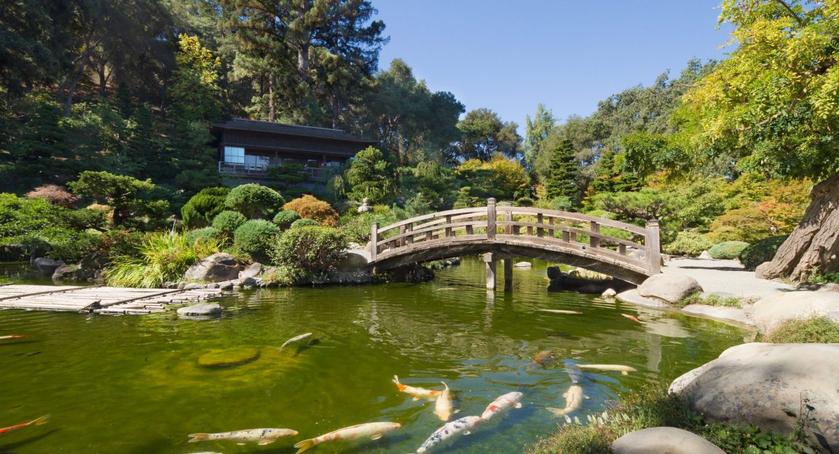 Hakone_Gardens