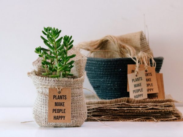 Idées de cadeaux pour le jardin