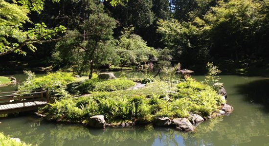 Bridge over to an island at Nitobe Japanese Garden