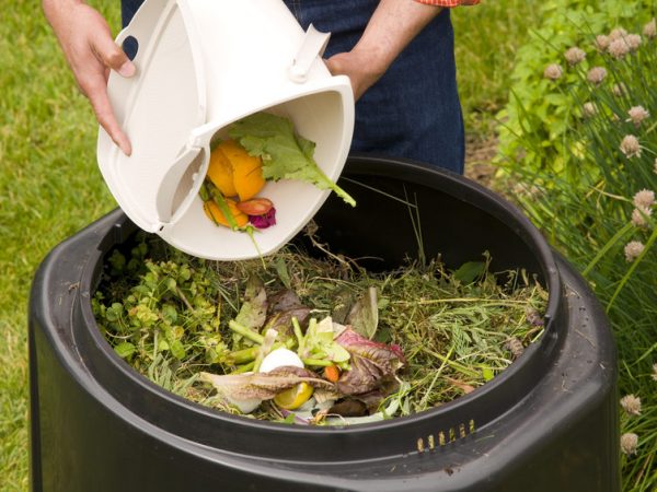 compost_methods_food_scraps