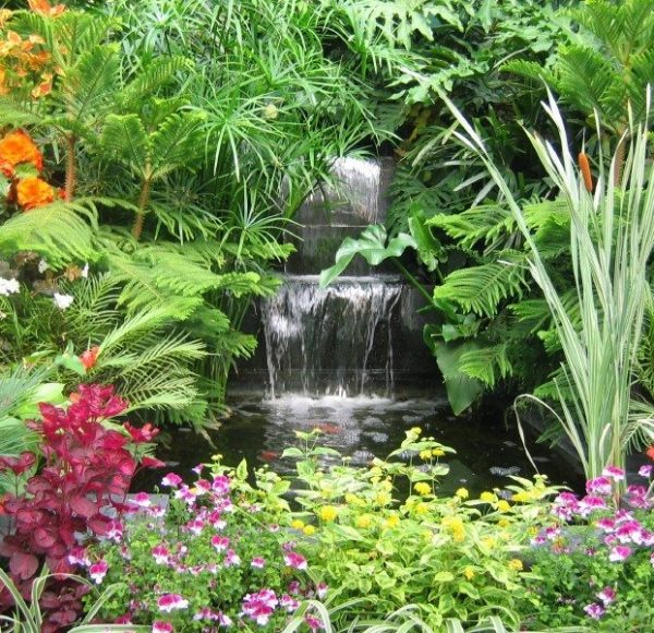 exotic-plant-garden