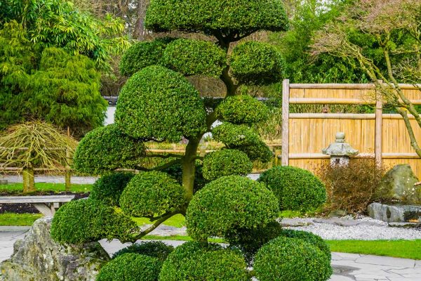 how-to-make-a-topiary-hero