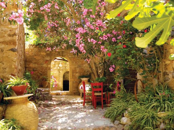 mediterranean-garden-plants