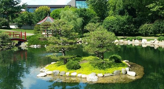 normandale-japanese-garden