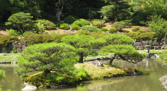 seattle_japanese_garden_turtle_island_full