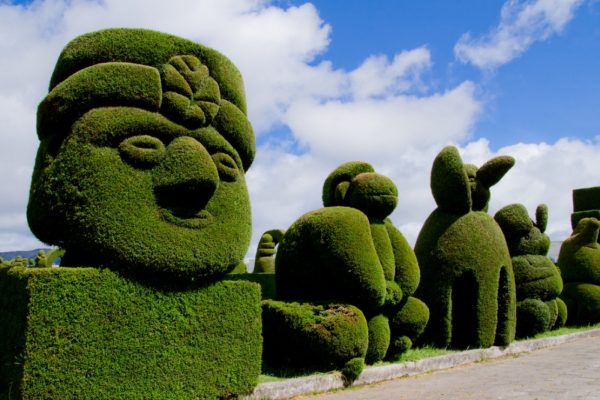 topiary