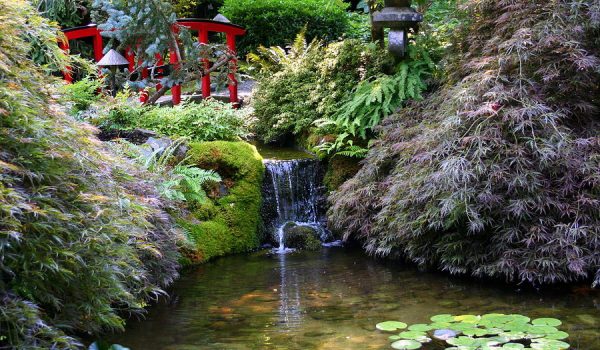 tranquility-in-a-japanese-garden-laurel-talabere