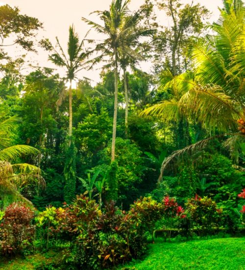 tropical-garden-paradise